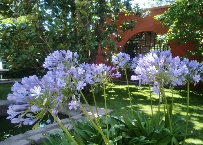 Finca Adalgisa