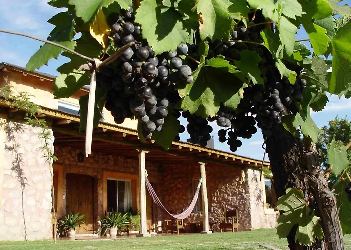 Finca Adalgisa